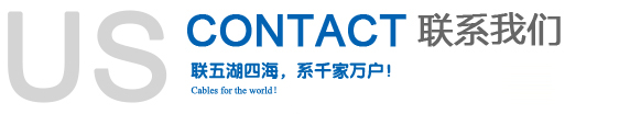 联系必赢·网络游戏平台-(中国游)有限公司(图1)